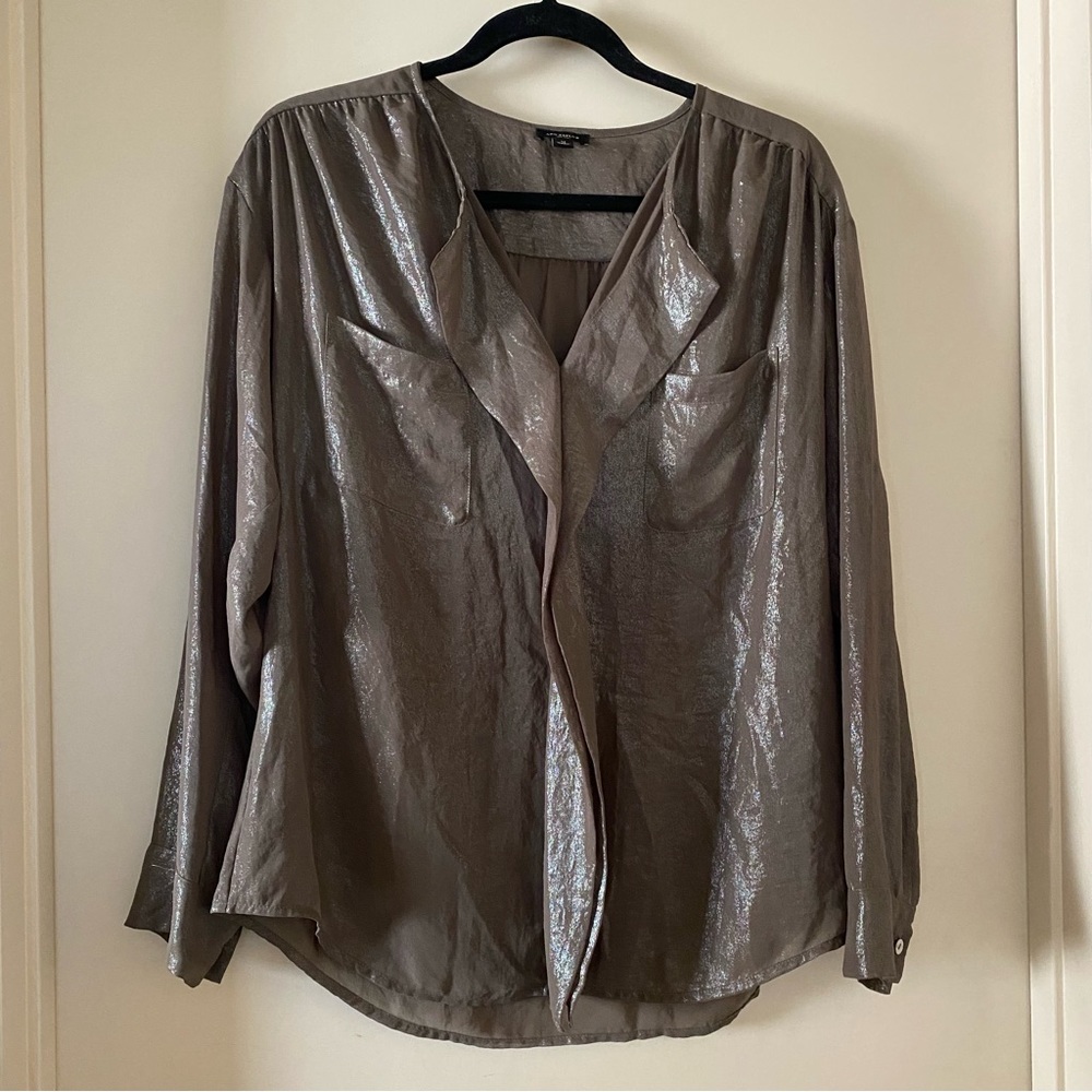 Ann Taylor Brown Metallic Sheer Blouse